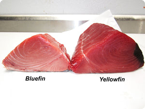 Bluefin Tuna (fresh, sashimi-grade) by the pound