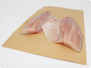 Kanpachi Fillet (fresh, sashimi-grade) by the pound
