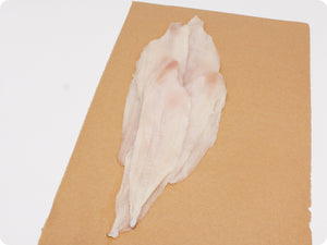 Dover Sole Fillet (fresh, wild) by the pound