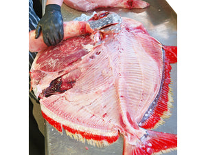 Opah fish delivered next-day
