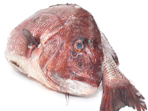 Red Snapper "Onaga" Fillet (fresh, wild) by the pound