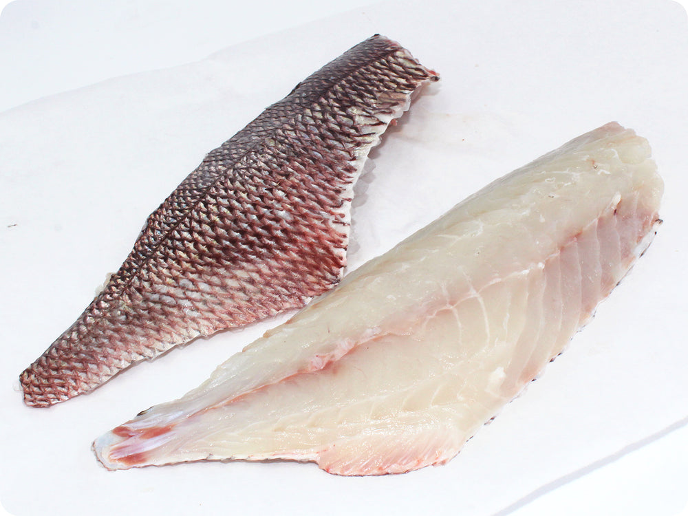 Red Snapper "Onaga" Fillet (fresh, wild) by the pound