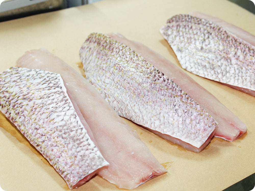 Queen Snapper Fillet