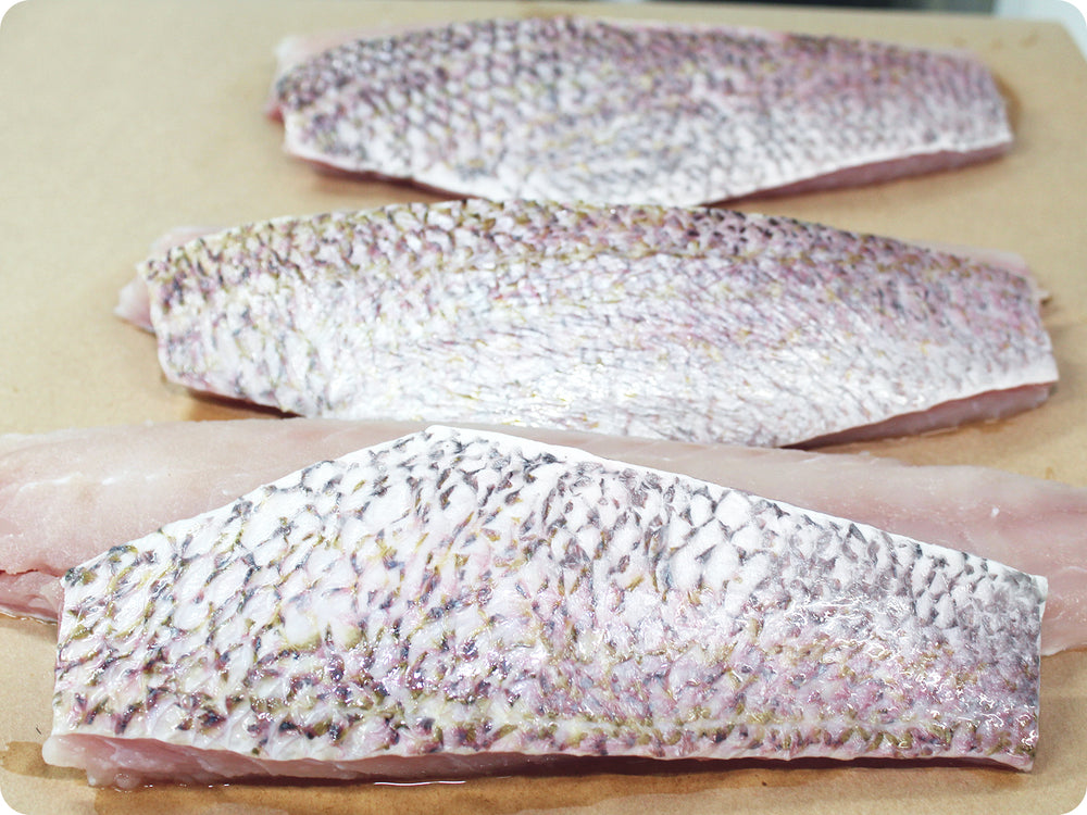 Queen Snapper Fillet