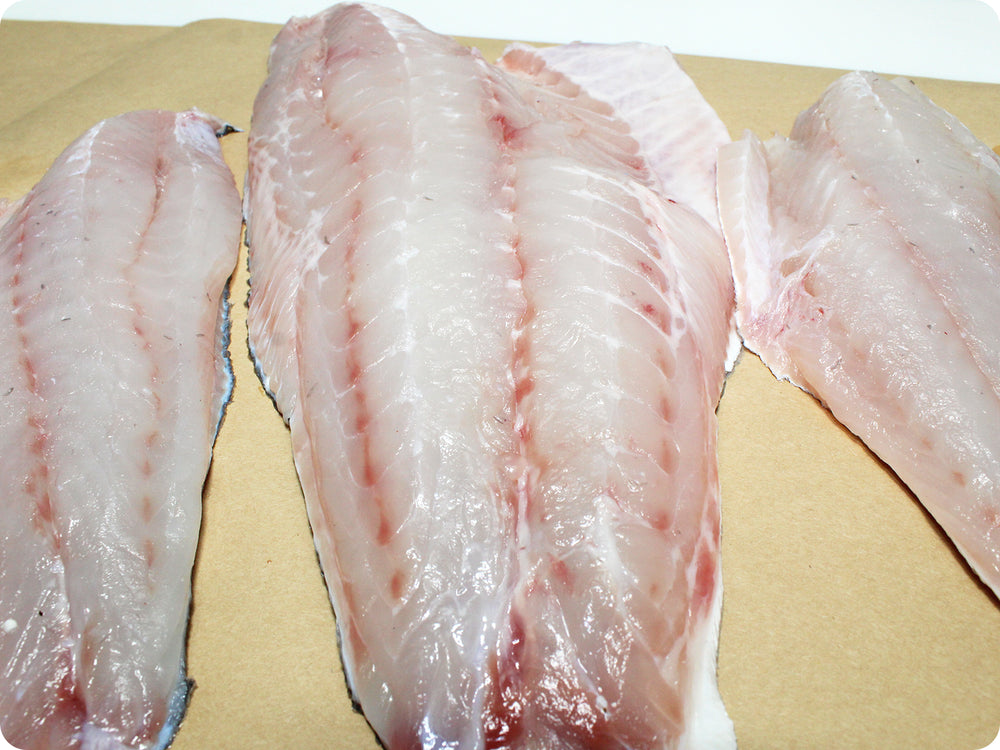 Corvina Fillet Fresh Wild By The