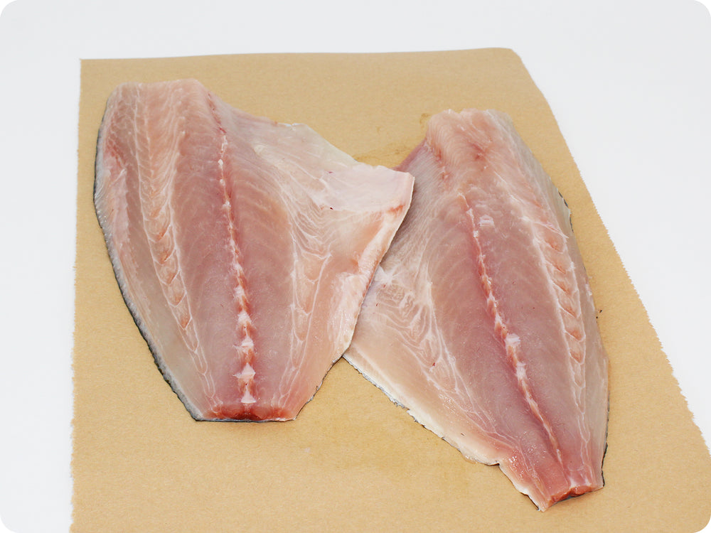 Kanpachi Fillet (fresh, sashimi-grade) by the pound