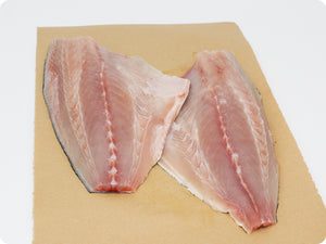 Kanpachi Fillet (fresh, sashimi-grade) by the pound