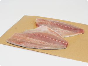 Kanpachi Fillet (fresh, sashimi-grade) by the pound