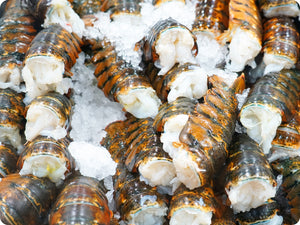 cold water Lobster tails on ice 