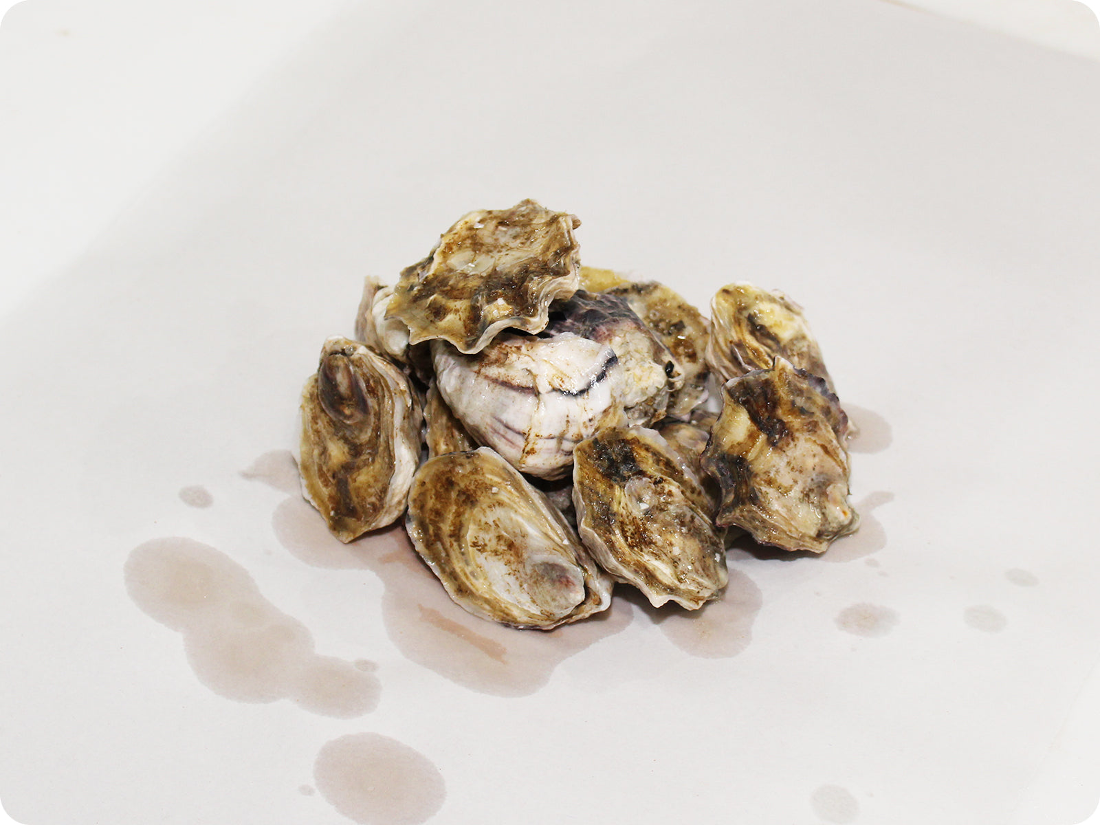Oishi Oysters by the dozen Honolulu Catch