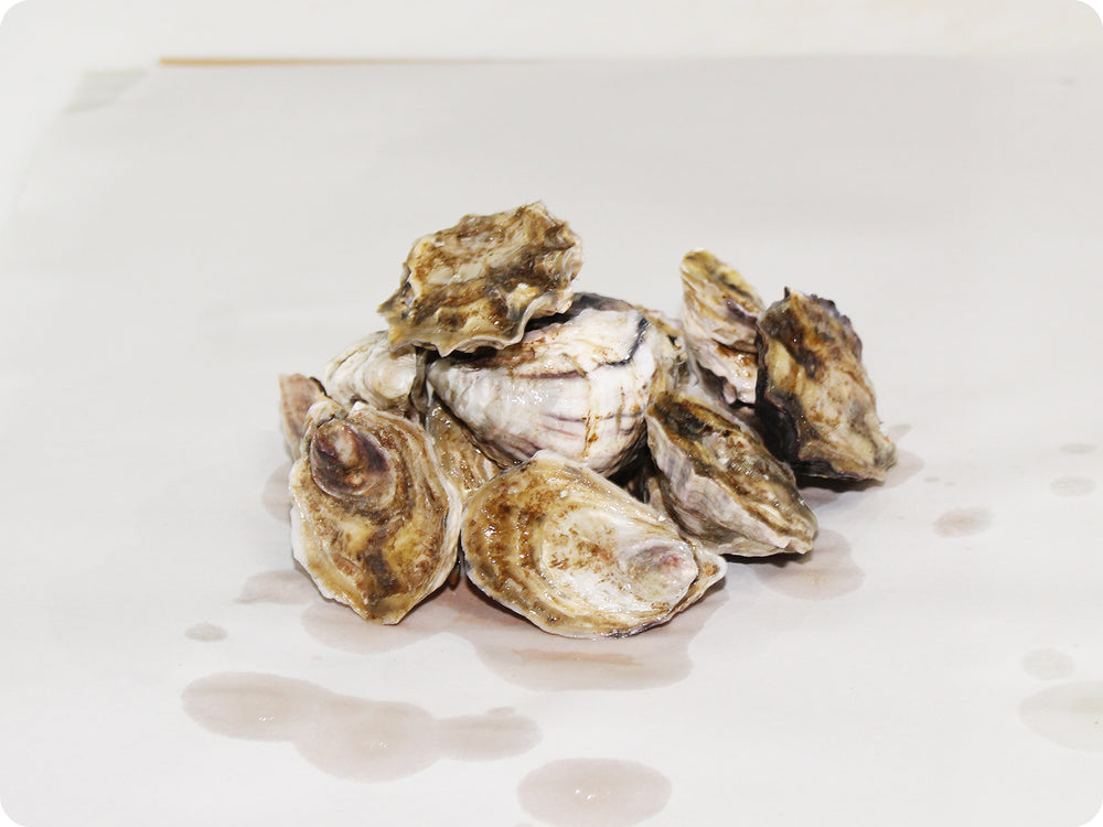 Oishi Oysters by the dozen