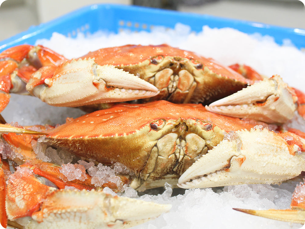 Dungeness Crab (whole-cooked, fresh) by the 2-pound crab