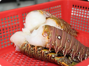 Caribbean Lobster Tails (large) by the pound