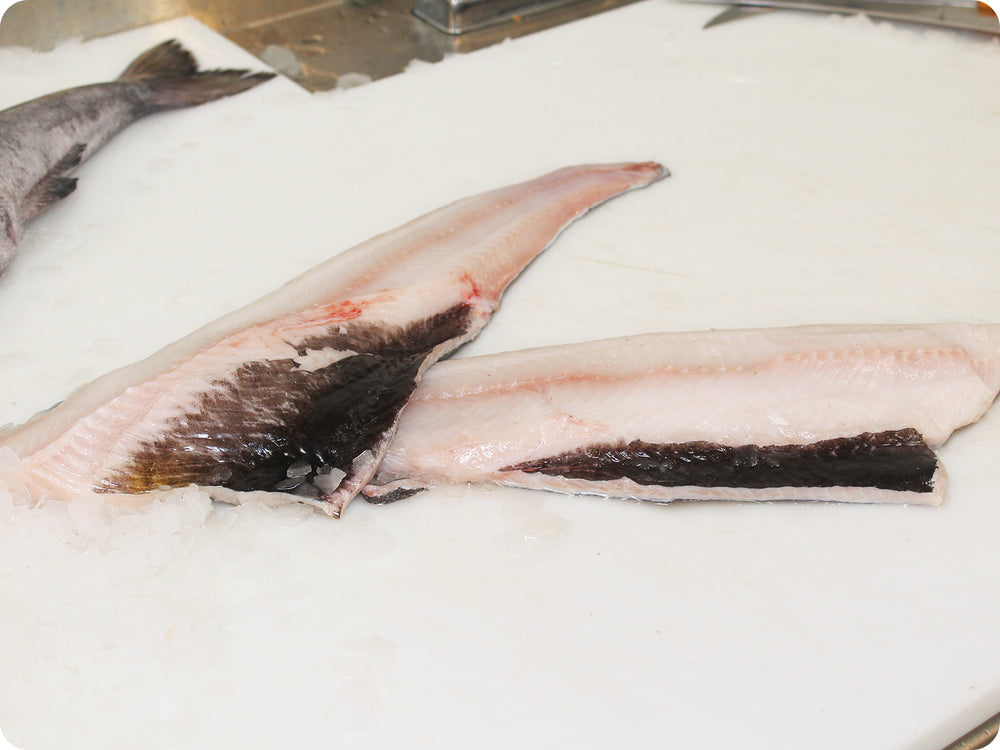 Black Cod Fillet (fresh, wild) by the pound