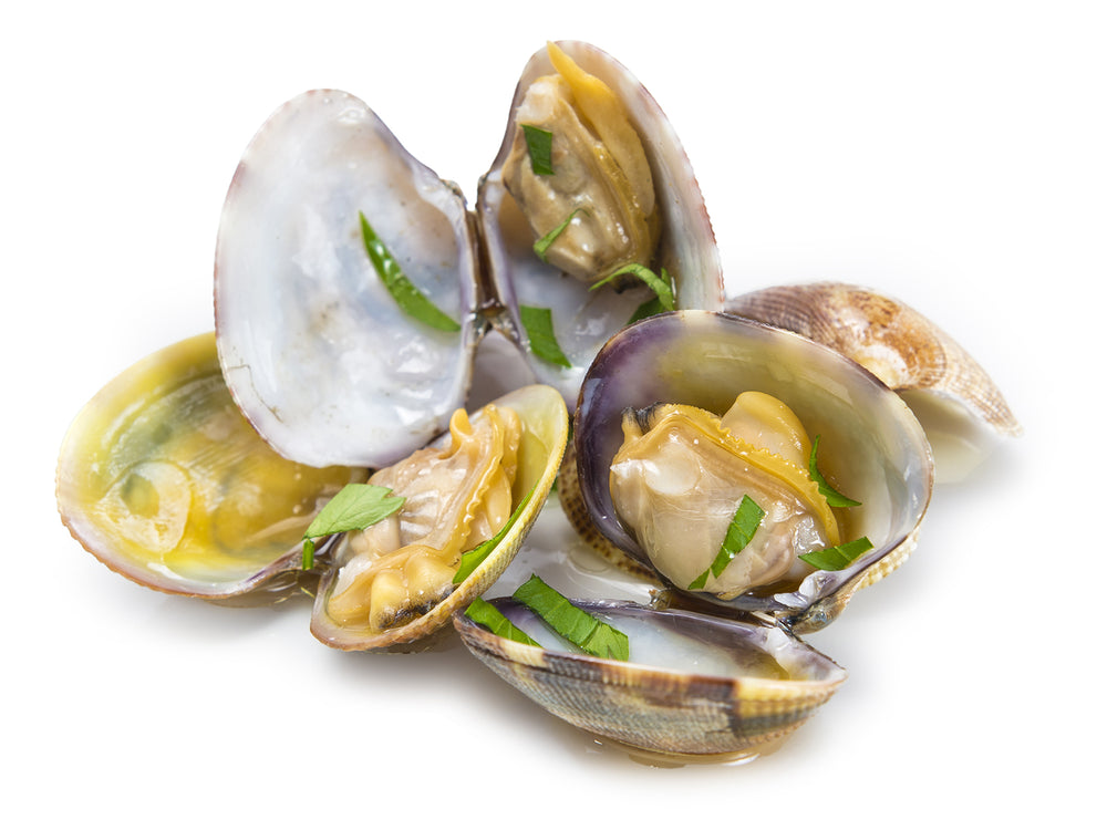 Open Manila clams to eat