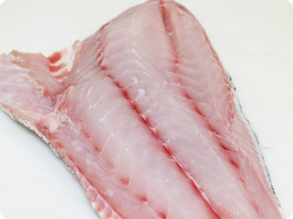 Black Grouper Fillet (fresh, wild) by the pound