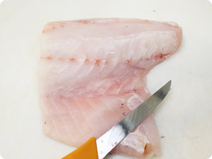 Black Grouper Fillet (fresh, wild) by the pound