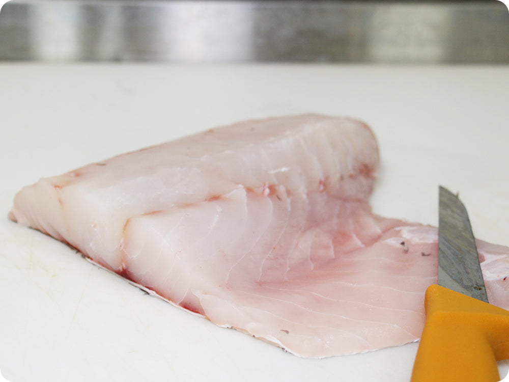 Black Grouper Fillet (fresh, wild) by the pound