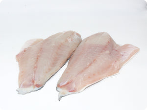 Black Grouper Fillet (fresh, wild) by the pound