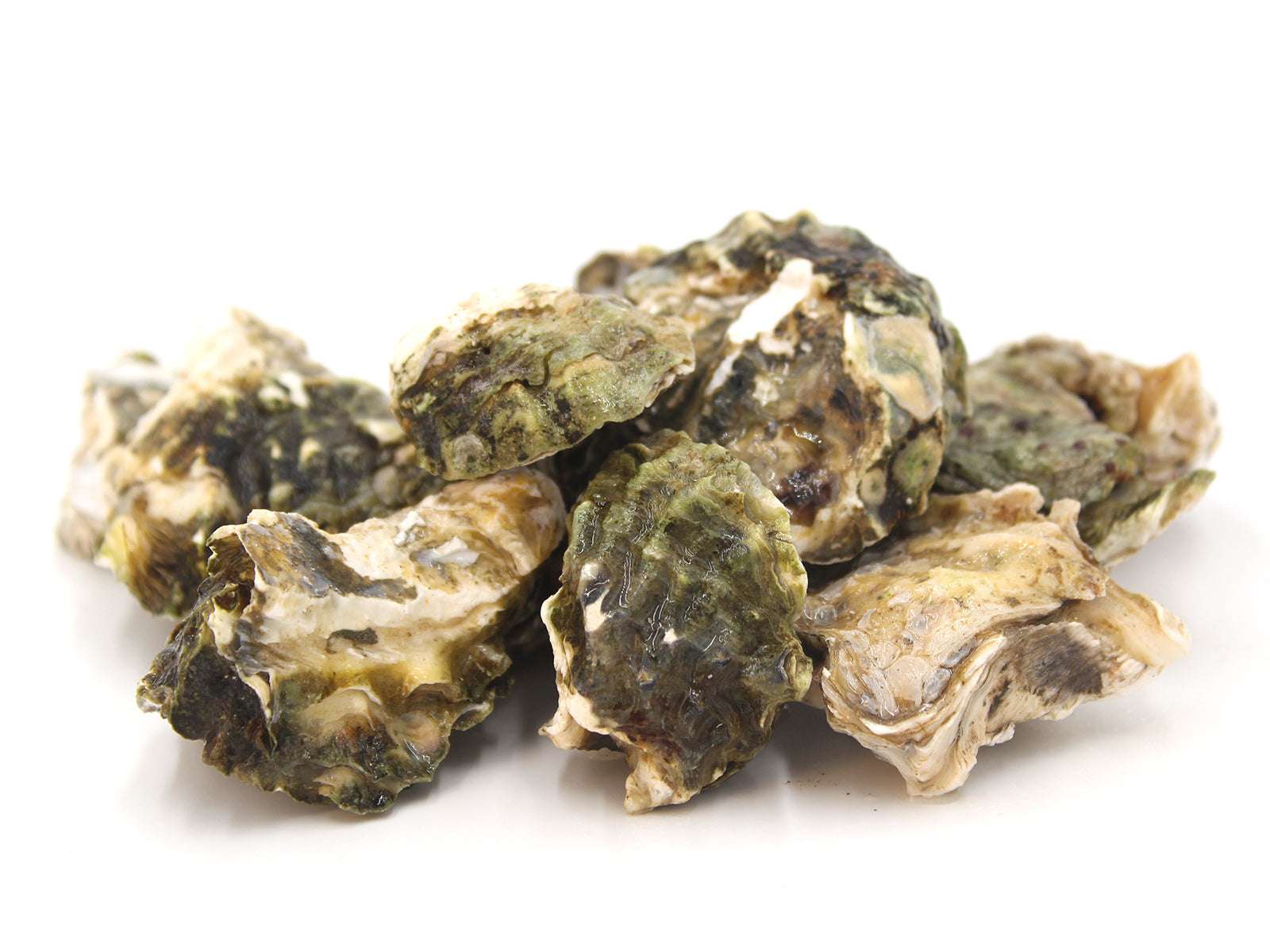 Kumamoto Oysters by the dozen Honolulu Catch