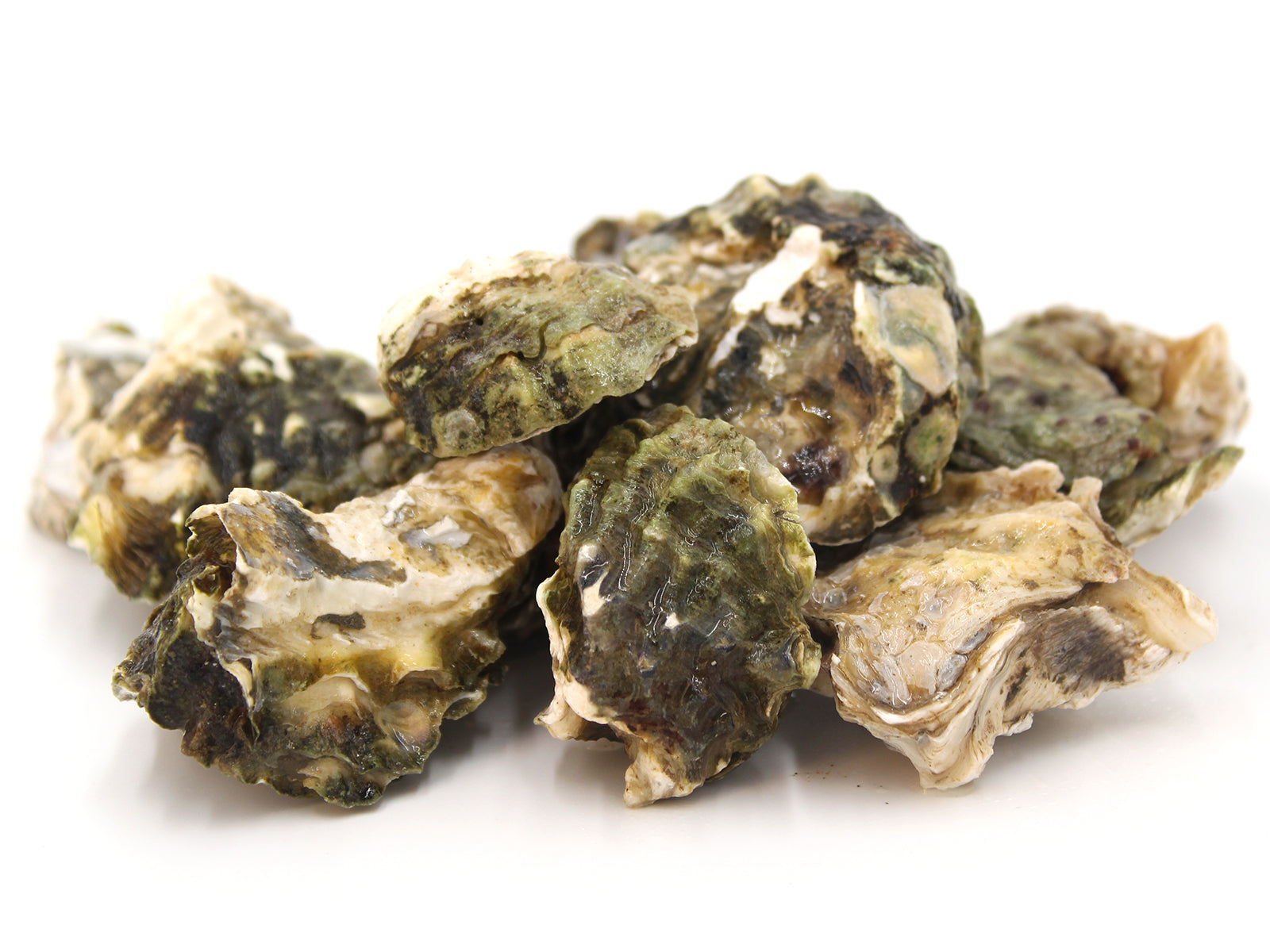 Kumamoto Oysters by the dozen Honolulu Catch