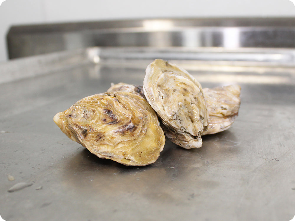 Kusshi Oysters by the dozen