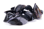 Beautiful dark blue violet Mediterranean mussels