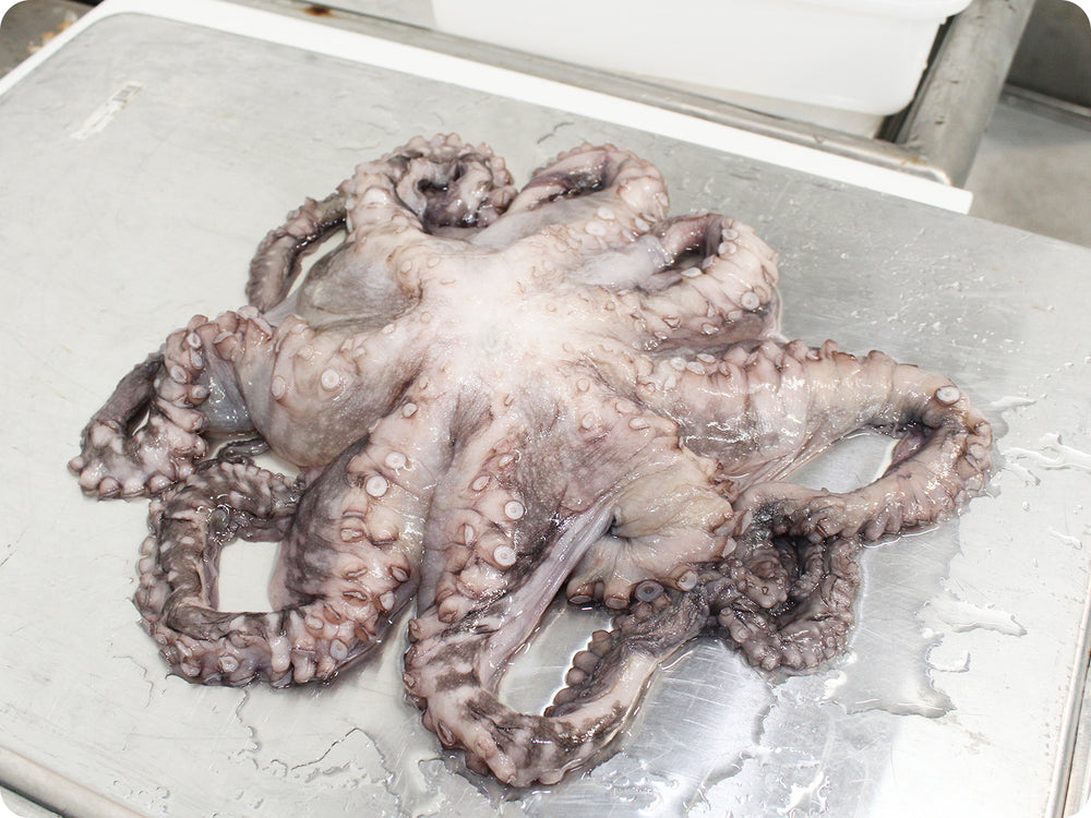 Whole Octopus (1-5 Lb Avg size, Wild) by the pound