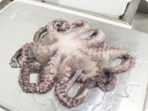 Whole Octopus (2/4 lb. ea., Wild) by the pound