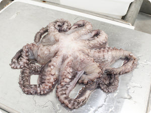 Whole Octopus (1-5 Lb Avg size, Wild) by the pound