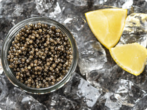Osetra Caviar in a jar on ice with lemons