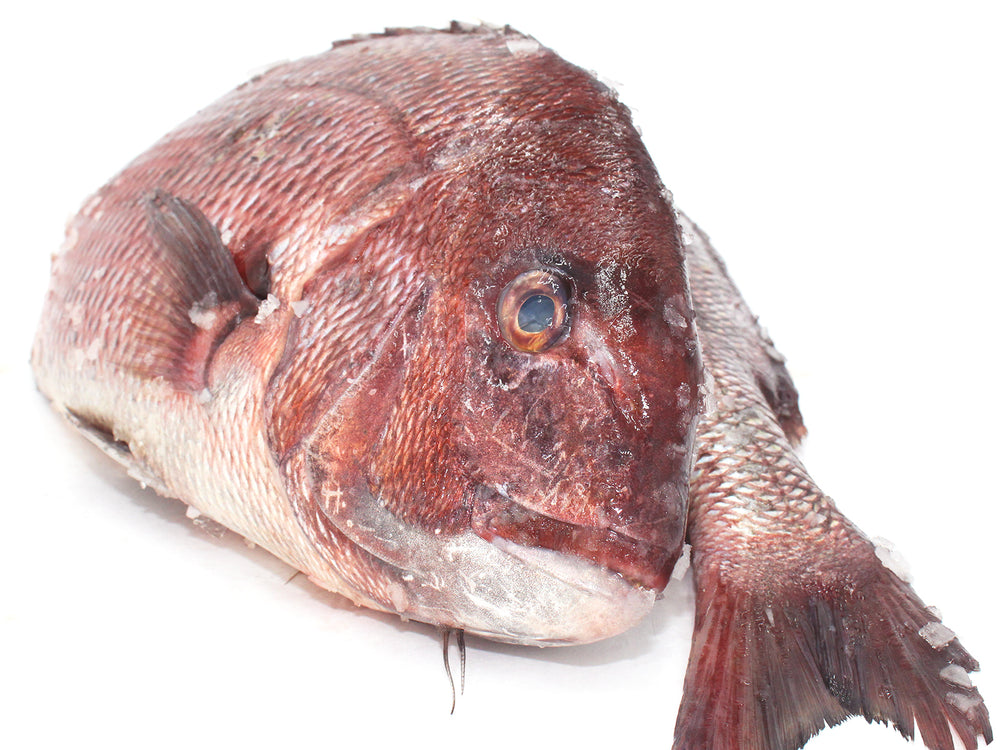 Redder Rin Fish Red Snapper Fish Fillet