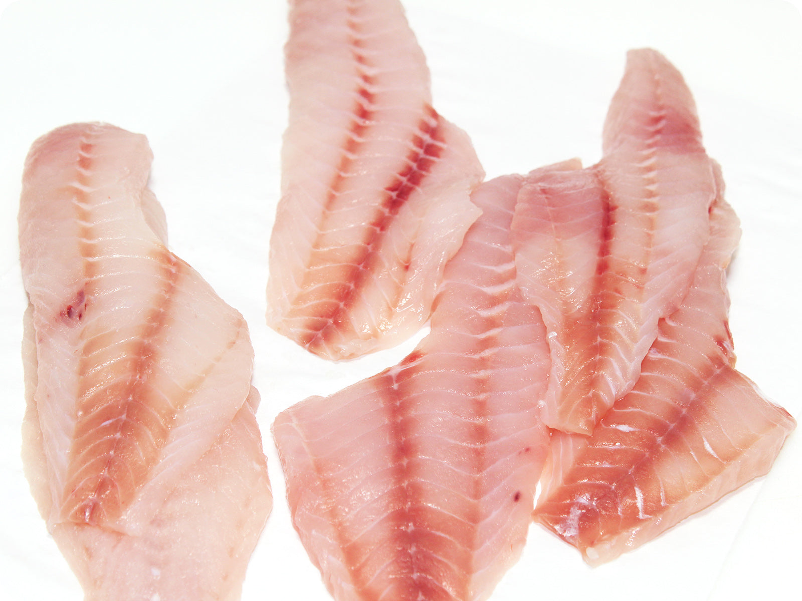 Pacific Rockfish Fillet (fresh, wild) by the pound Honolulu Catch